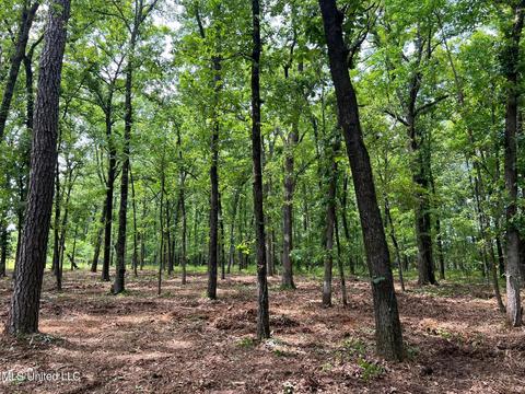 426 Catlett Rd, Madison, MS 39110 photo 2