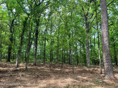 426 Catlett Rd, Madison, MS 39110