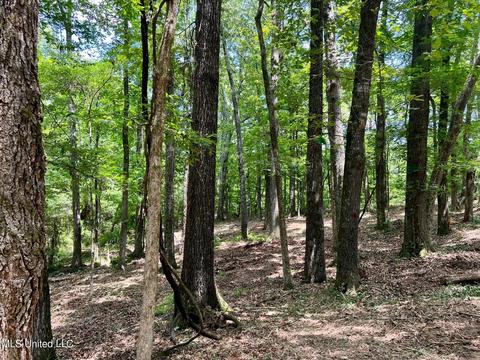Pearl River Church Rd, Madison, MS 39110 photo 12