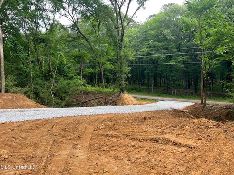 Pearl River Church Rd, Madison, MS 39110 photo 3