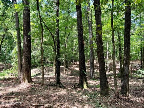 Pearl River Church Rd, Madison, MS 39110 photo 13