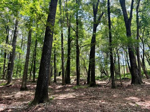 Pearl River Church Rd, Madison, MS 39110 photo 11