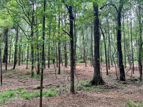 Pearl River Church Rd, Madison, MS 39110 photo 7