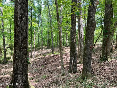 Pearl River Church Rd, Madison, MS 39110 photo 2