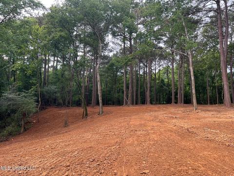 Pearl River Church Rd, Madison, MS 39110 photo 14