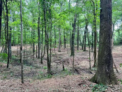 Pearl River Church Rd, Madison, MS 39110 photo 10