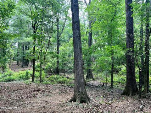 Pearl River Church Rd, Madison, MS 39110 photo 9