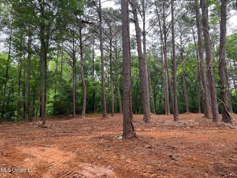 Pearl River Church Rd, Madison, MS 39110 photo 16