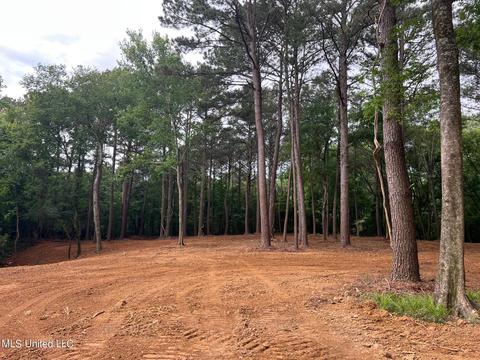 Pearl River Church Rd, Madison, MS 39110 photo 4