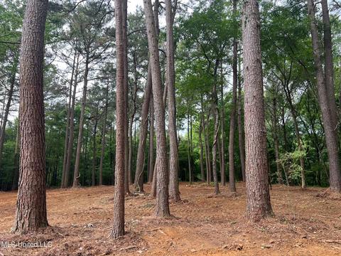 Pearl River Church Rd, Madison, MS 39110 photo 15