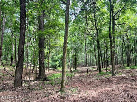 Pearl River Church Rd, Madison, MS 39110 photo 6
