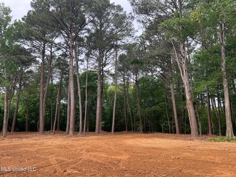 Pearl River Church Rd, Madison, MS 39110 photo 5