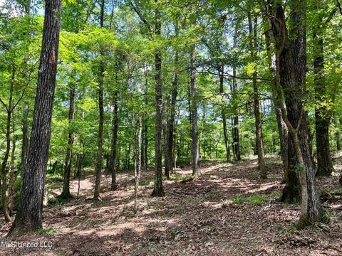 Pearl River Church Rd, Madison, MS 39110