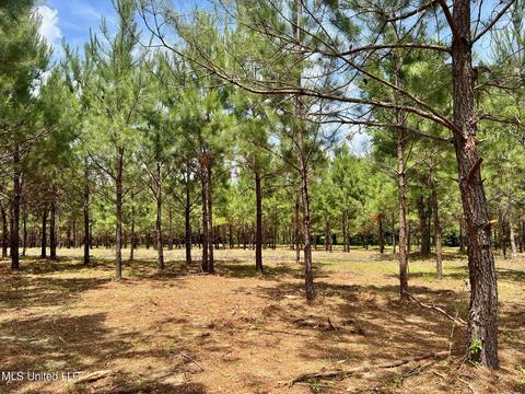 Stout Rd, Canton, MS 39046