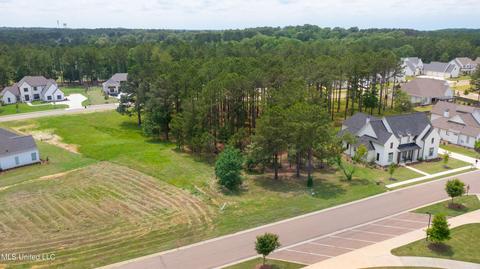 Eastwick, Madison, MS 39110 photo 2