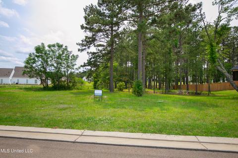 Eastwick, Madison, MS 39110 photo 9