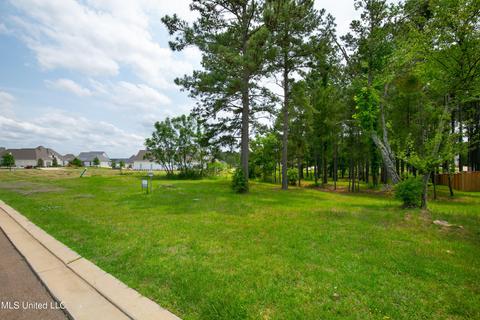 Eastwick, Madison, MS 39110 photo 10