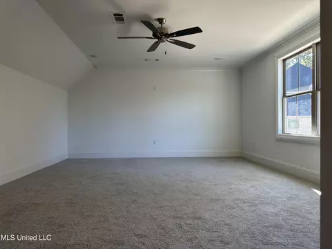 219 Wrights Mill Dr, Madison, MS 39110 photo 20