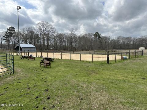 117 Rideability Ln, Brandon, MS 39042 photo 15