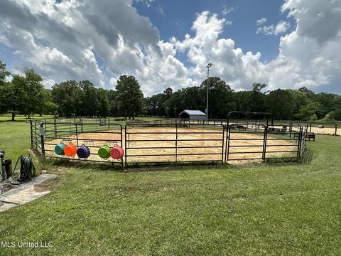 117 Rideability Ln, Brandon, MS 39042 photo 38