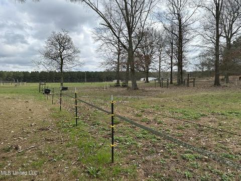 117 Rideability Ln, Brandon, MS 39042 photo 28