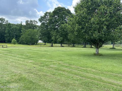 117 Rideability Ln, Brandon, MS 39042 photo 6