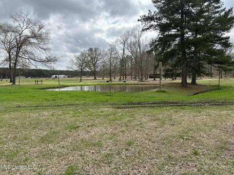 117 Rideability Ln, Brandon, MS 39042 photo 20