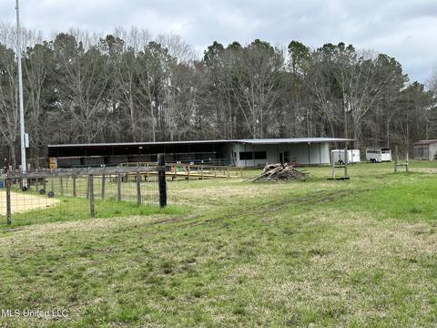 117 Rideability Ln, Brandon, MS 39042 photo 25