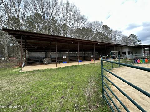 117 Rideability Ln, Brandon, MS 39042 photo 18