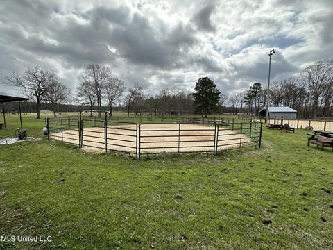 117 Rideability Ln, Brandon, MS 39042 photo 16
