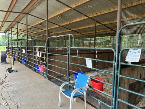 117 Rideability Ln, Brandon, MS 39042 photo 34