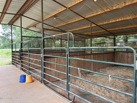 117 Rideability Ln, Brandon, MS 39042 photo 37