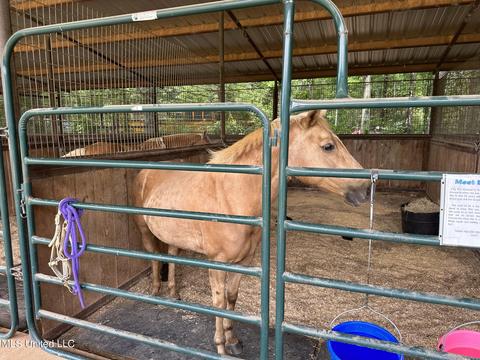117 Rideability Ln, Brandon, MS 39042 photo 35