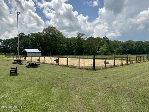 117 Rideability Ln, Brandon, MS 39042 photo 39