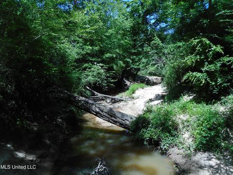 921 Damascus Rd, Durant, MS 39063 photo 1