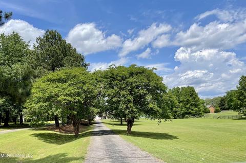 1150 Middle Buster Rd, Hernando, MS 38632 photo 43