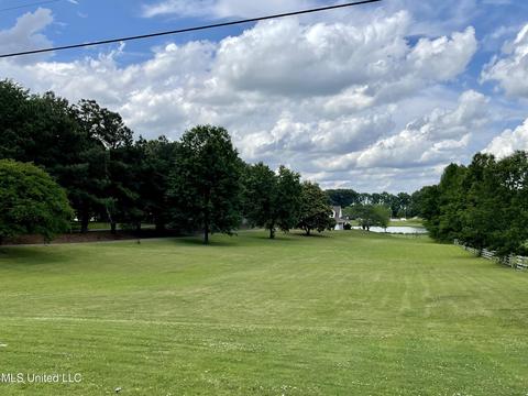 1150 Middle Buster Rd, Hernando, MS 38632 photo 3