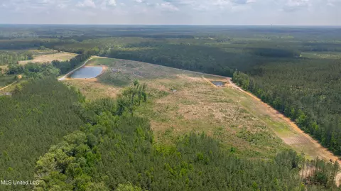 Coal Bluff Road, Lena, MS 39094 photo 8