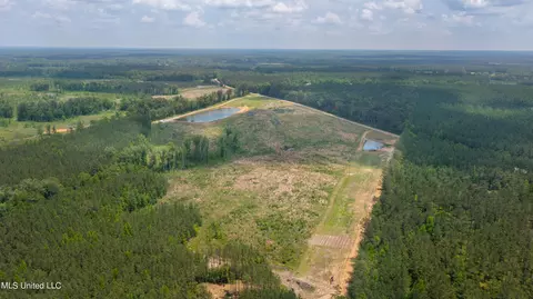 Coal Bluff Road, Lena, MS 39094 photo 7