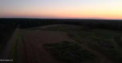 Coal Bluff Road, Lena, MS 39094 photo 16