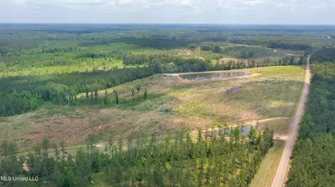 Coal Bluff Road, Lena, MS 39094 photo 6