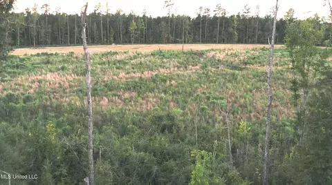Coal Bluff Road, Lena, MS 39094 photo 5