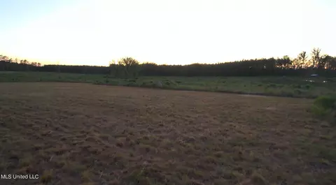 Coal Bluff Road, Lena, MS 39094 photo 17