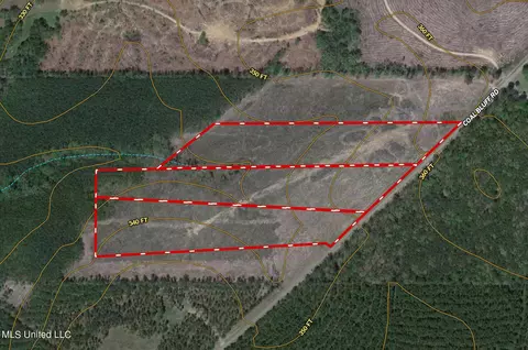 Coal Bluff Road, Lena, MS 39094 photo 12