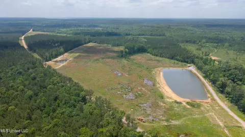 Coal Bluff Road, Lena, MS 39094 photo 10