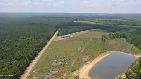 Coal Bluff Road, Lena, MS 39094 photo 9