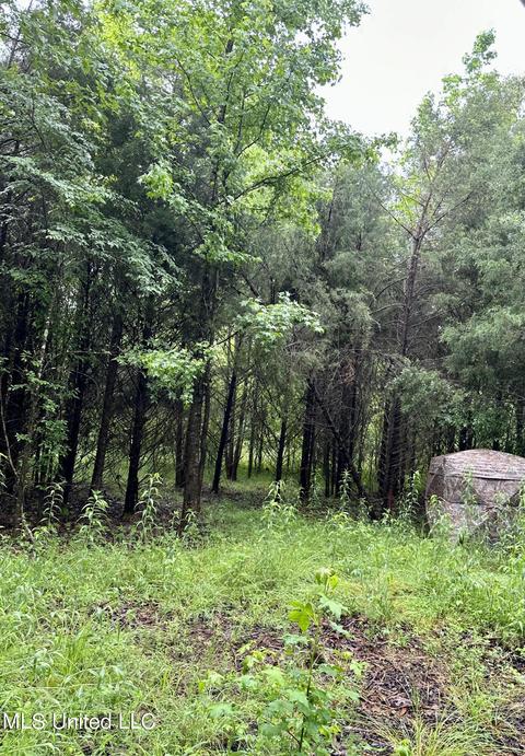 Mcclyde Road, Como, MS 38619 photo 3