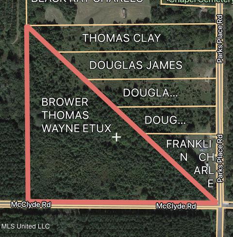 Mcclyde Road, Como, MS 38619 photo 8