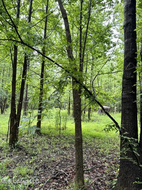 Mcclyde Road, Como, MS 38619 photo 6