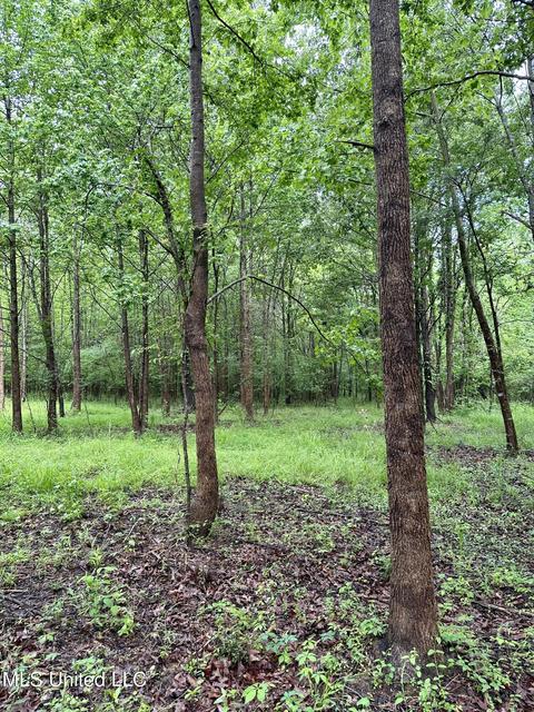 Mcclyde Road, Como, MS 38619 photo 5